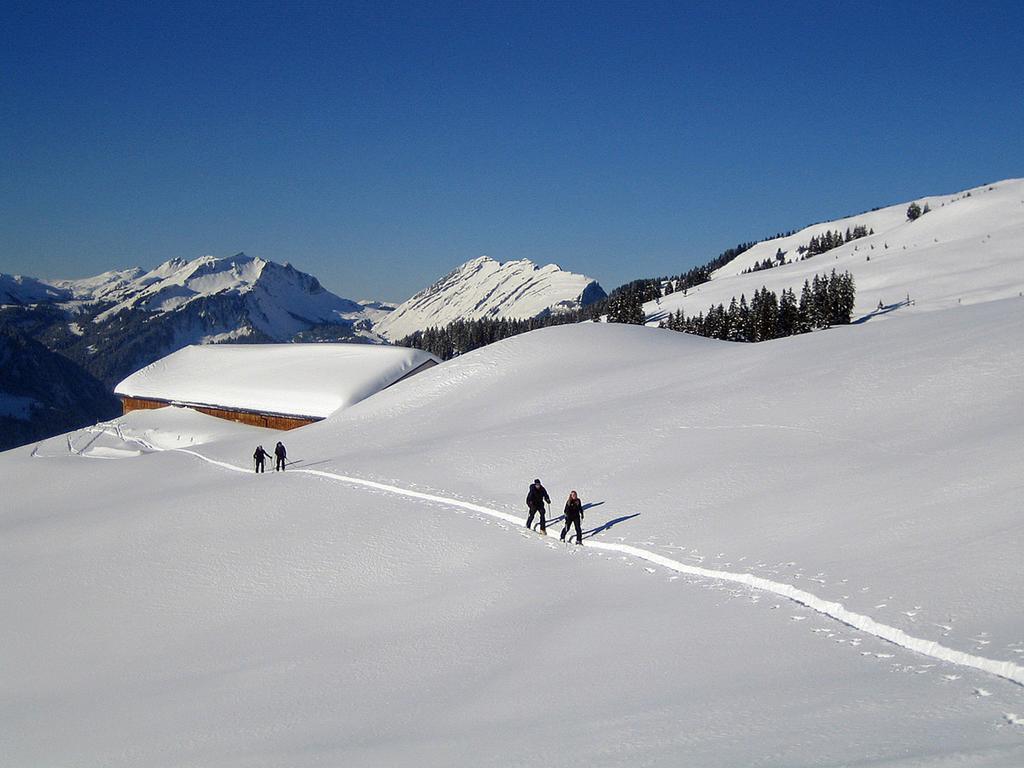 Caroline'S Appartement Au (Vorarlberg) ภายนอก รูปภาพ